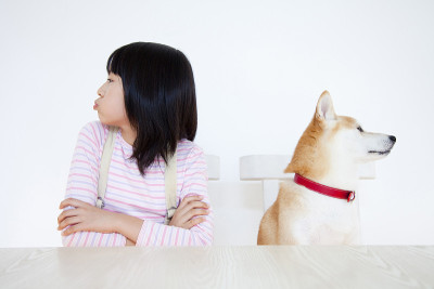 柴犬和女孩打架