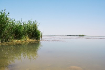 湖