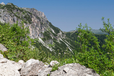 白云石年代全景
