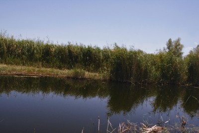 湖