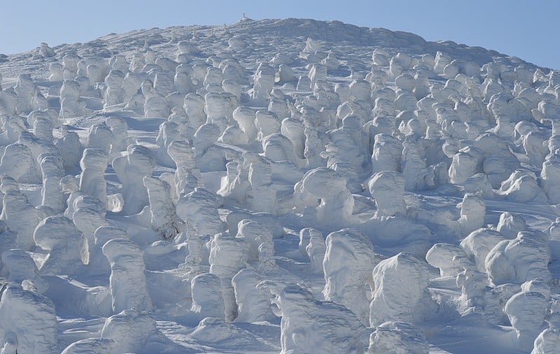 藏山的雪怪