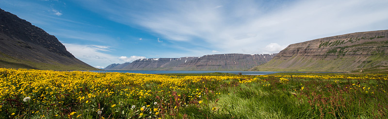 博尔加峡湾， 韦斯特峡湾， 冰岛