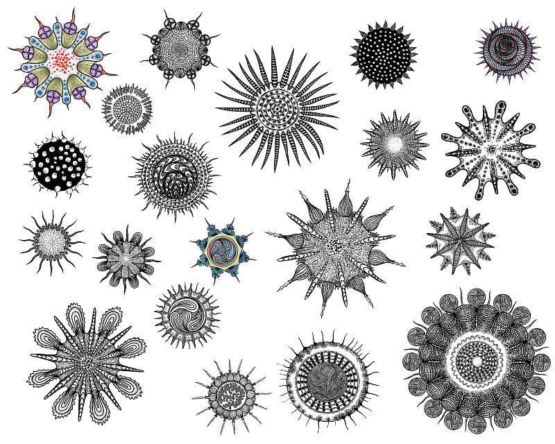 新冠肺炎绘画。中间有DNA或RNA的致病生物体。感染源，流感污染，空气污染，灰尘，空气中花粉过敏原颗