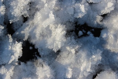 冰面上的小雪