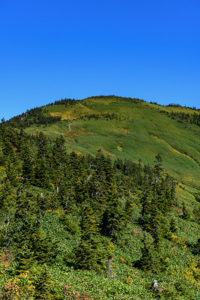 早秋的Aizukomagatake山