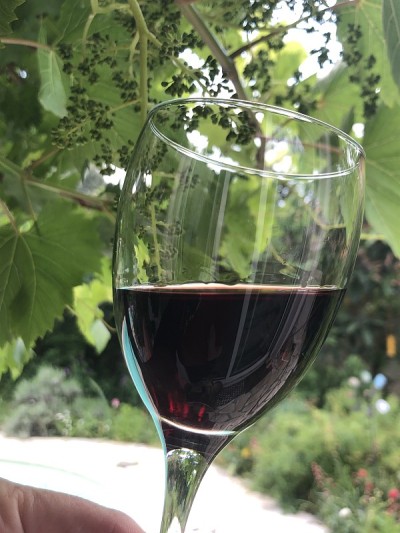 一杯葡萄酒，一串开花的藤蔓