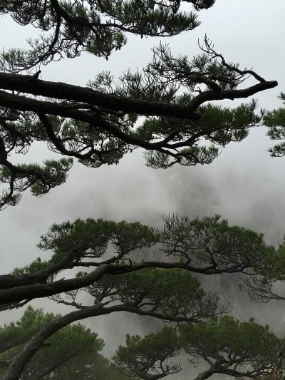 中国黄山之行，2015