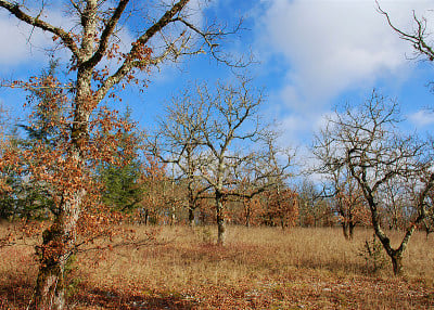Quercy
