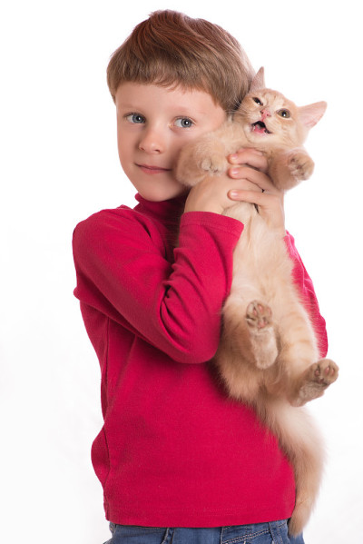 男孩拥抱红猫