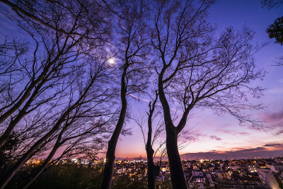 横滨郊外的夜景，在那里你可以看到坦桑尼亚山脉