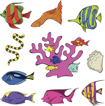 海洋生物3