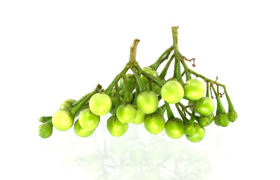 豌豆茄子