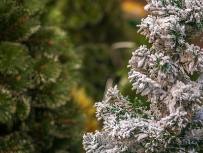 圣诞树上飘着雪花