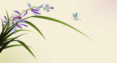 东方画风，花蝴蝶