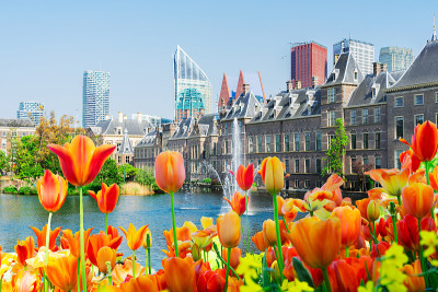 Binnenhof -荷兰议会，荷兰