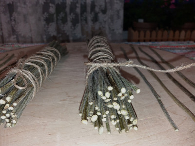 干蓍茎易经占卜