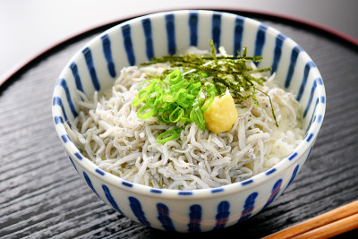 shirasu堂。银鱼碗。日本的食物。