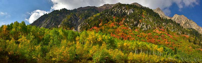 花岗岩山上的秋叶