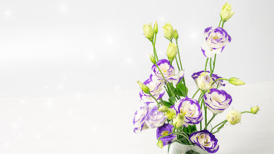 模糊的背景特写上有蓝白鸢尾花束。适合母亲节、妇女节或情人节的漂亮贺卡。横幅照片与空间为您的问候文字。