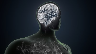 三维人体图解x射线黑白大脑解剖
