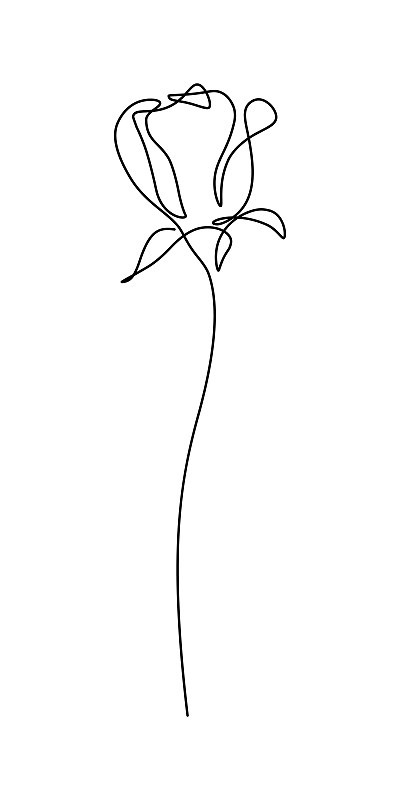 玫瑰花