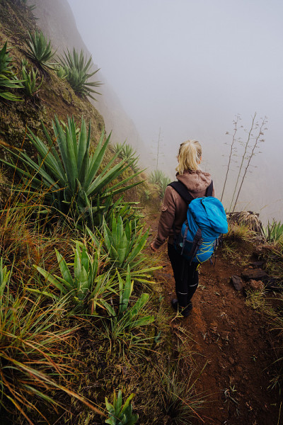 女性旅行者停留在不活跃的海湾火山口上方的雾绿色山谷长满丝兰植物的沼泽上。佛得角的圣安涛岛