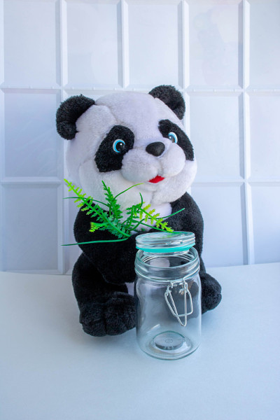 一个柔软的熊猫玩具和一个白色背景上有盖子的玻璃罐。可重复使用的包装。地球的灾难。垃圾分类的概念。“零