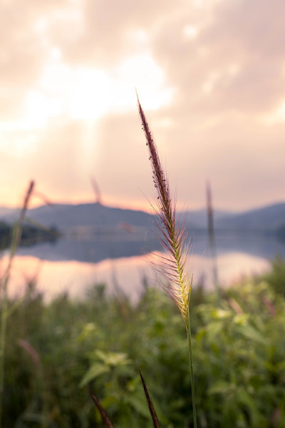 美丽的乡村全景。