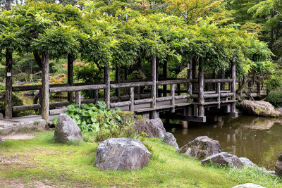 日本新泻公园的场景