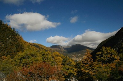 美丽的山景