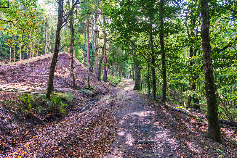 美丽的克里夫山坡，山谷和Forrest Walks在苏格兰