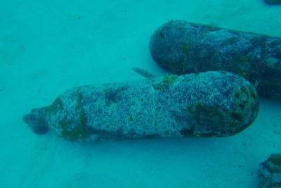 二战时日本海军贝蒂轰炸机