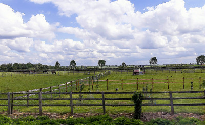 英国夏日阴天景观