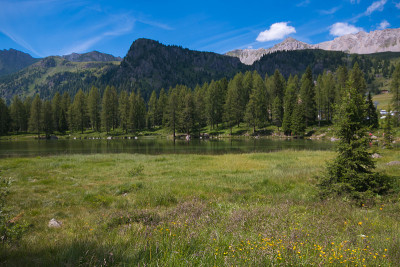 圣佩莱格里诺湖全景莫埃纳附近的Trentino，意大利