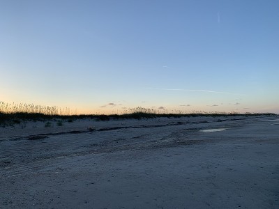 日落海燕麦