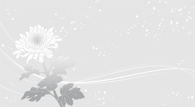 淡雅菊花背景插图(淡墨画)