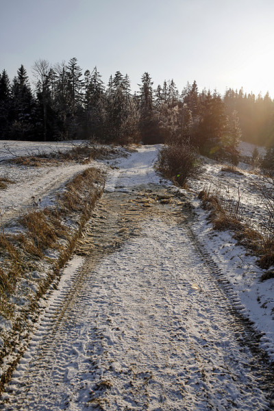 冬季景观与道路和阳光闪光