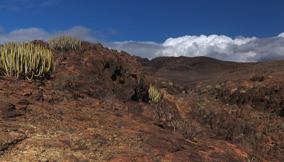 大加那利岛，风景沿徒步旅行路线之间的ravives Barranco del Toro和Barran