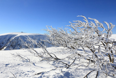 法国孚日雪山