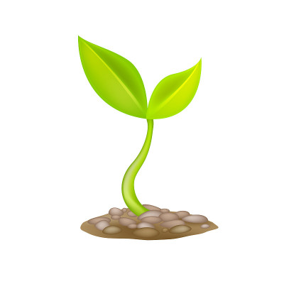 小芽。新生活寓言
