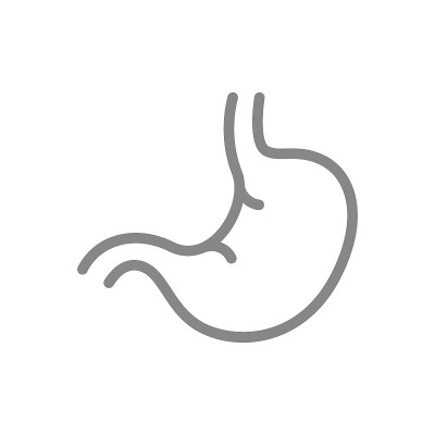 人体胃线图标。健康内脏符号