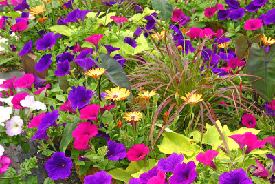 花
