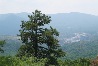 树山Vista