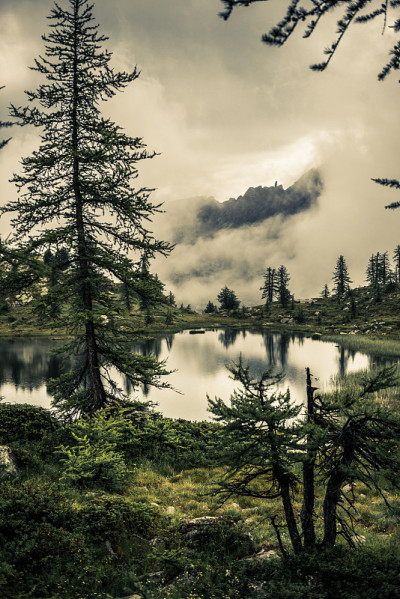 模糊的风景