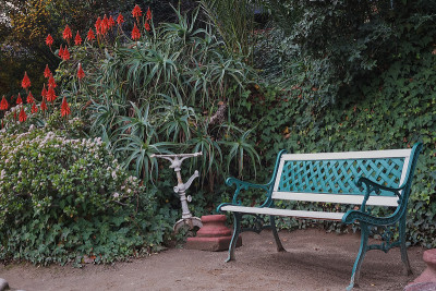 绿色花园benche