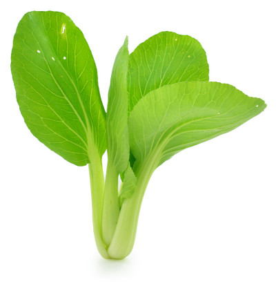 小白菜(白菜)孤立在白色上