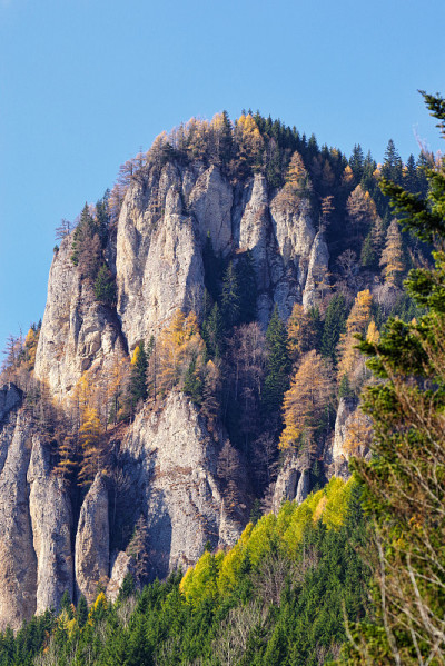 落基山的秋天风景