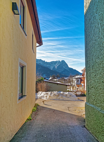 Garmisch-Partenkirchen大街上的猫