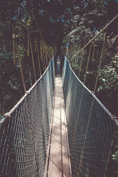 吊桥，Taman Negara国家公园，马来西亚