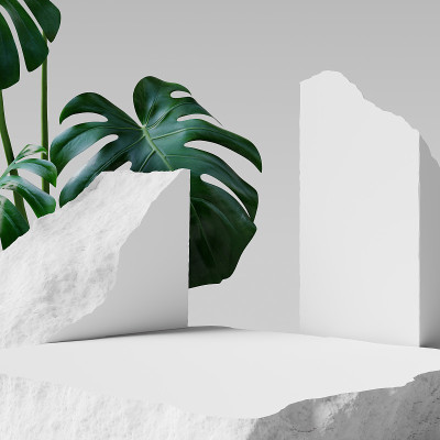 绿叶石板产品展示，白色裙台和平台，3d效果图。